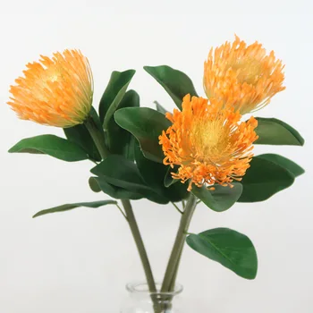 

Large Flower Single Stem Props Pincushion Flower Model Flower Arrangement with Wood European Style Photography Sout