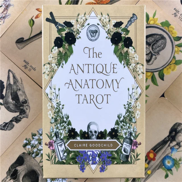 The Antique Anatomy Tarot  Cards Deck Full English Oracle  Divination Fate Family Party Board Game 5