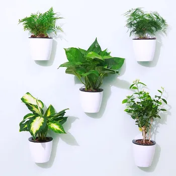 

Zizhi Hui-Style Pot Flower Planting Wall Hangers Wall-Mounted Wealth-Planting Hanging Flower Creation Plant Hanging Objects Hang