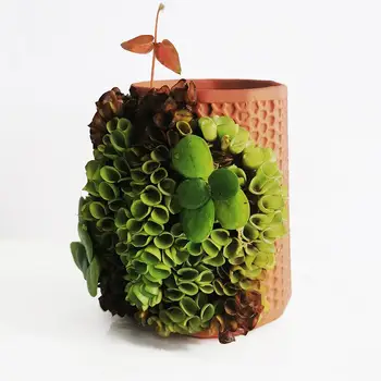 

Automatic Watering Planter Ceramic Succulent Herb Honeycomb Shape Flower Pot for planting succulents cactu flower