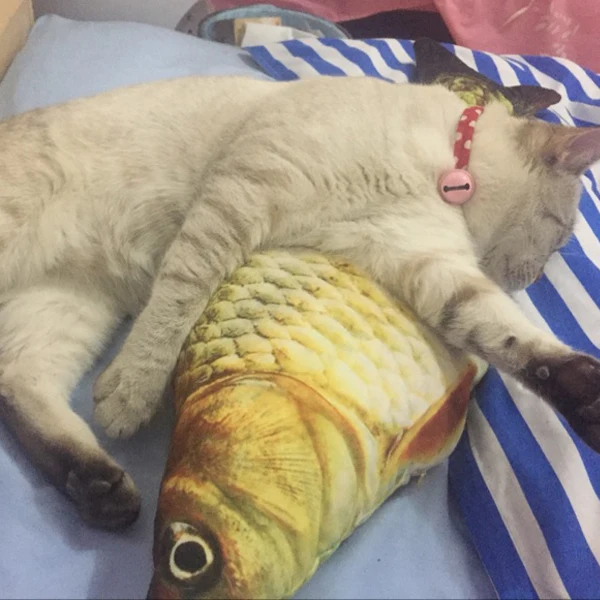 3d Fish декоративная форма подушечка диванная подушка с внутренним домашний декор диван игрушки 20/40/60 см подушка для домашних животных кошка подушка для сна