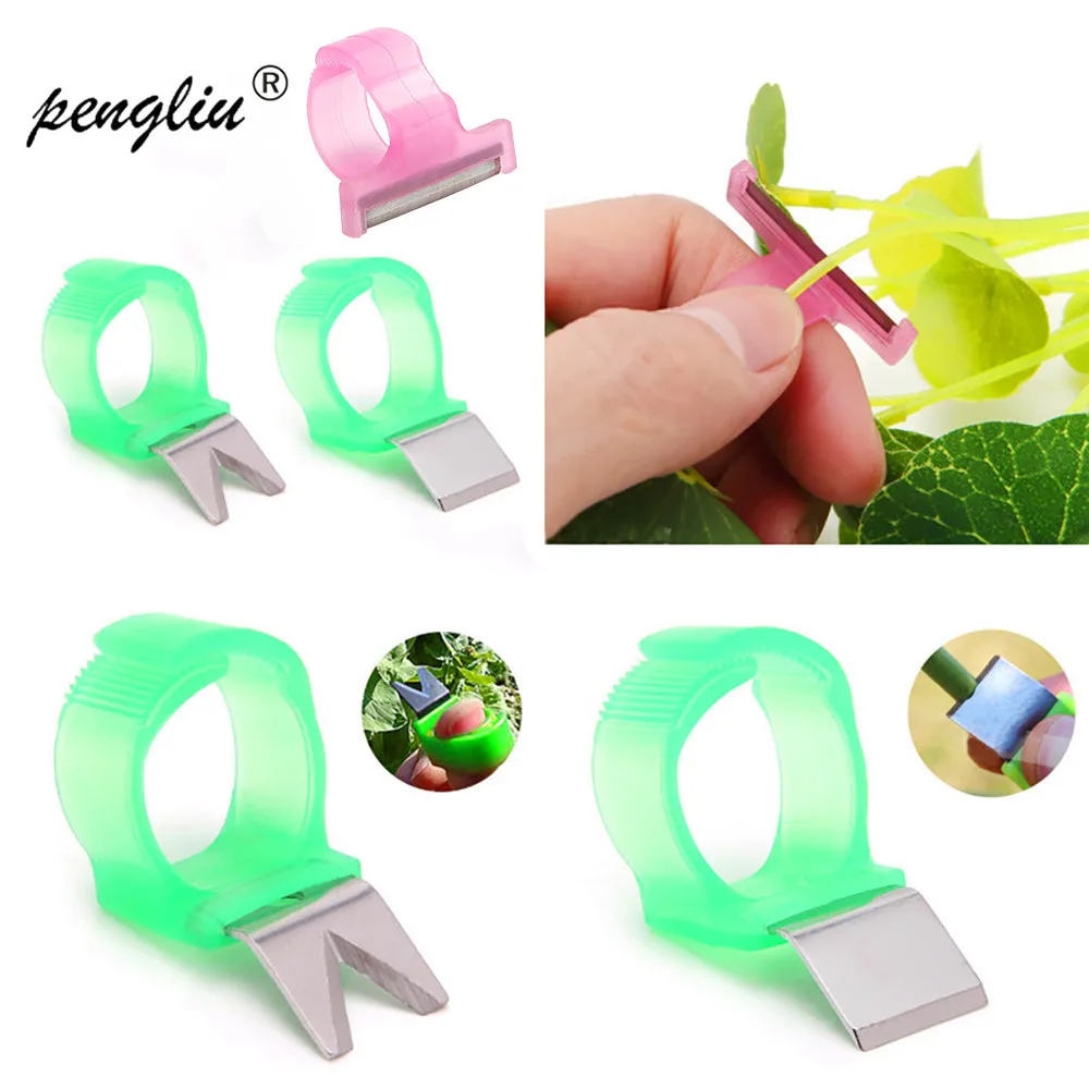 5pcs-pack V модель хорошего качества томат огурец виноград оранжевый сбор фруктов лезвие инструмент кольцо на выбор ножницы для дынь кольцо GT022