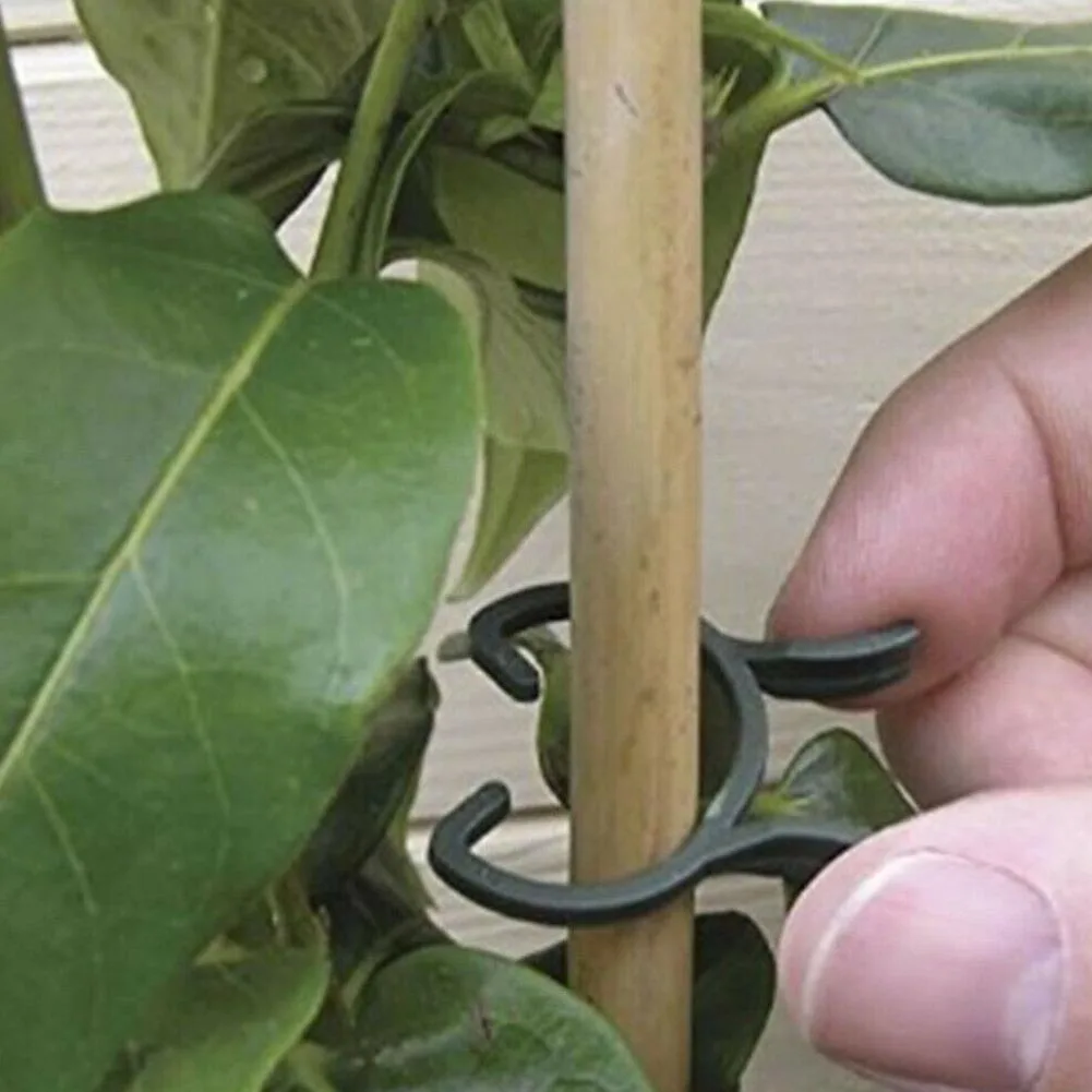 

100Pcs Practical Vine Support Ear Hook Fixture Vegetable Fixing Plant Clips Durable Garden Tools Tomato Greenhouse Farm Clamp