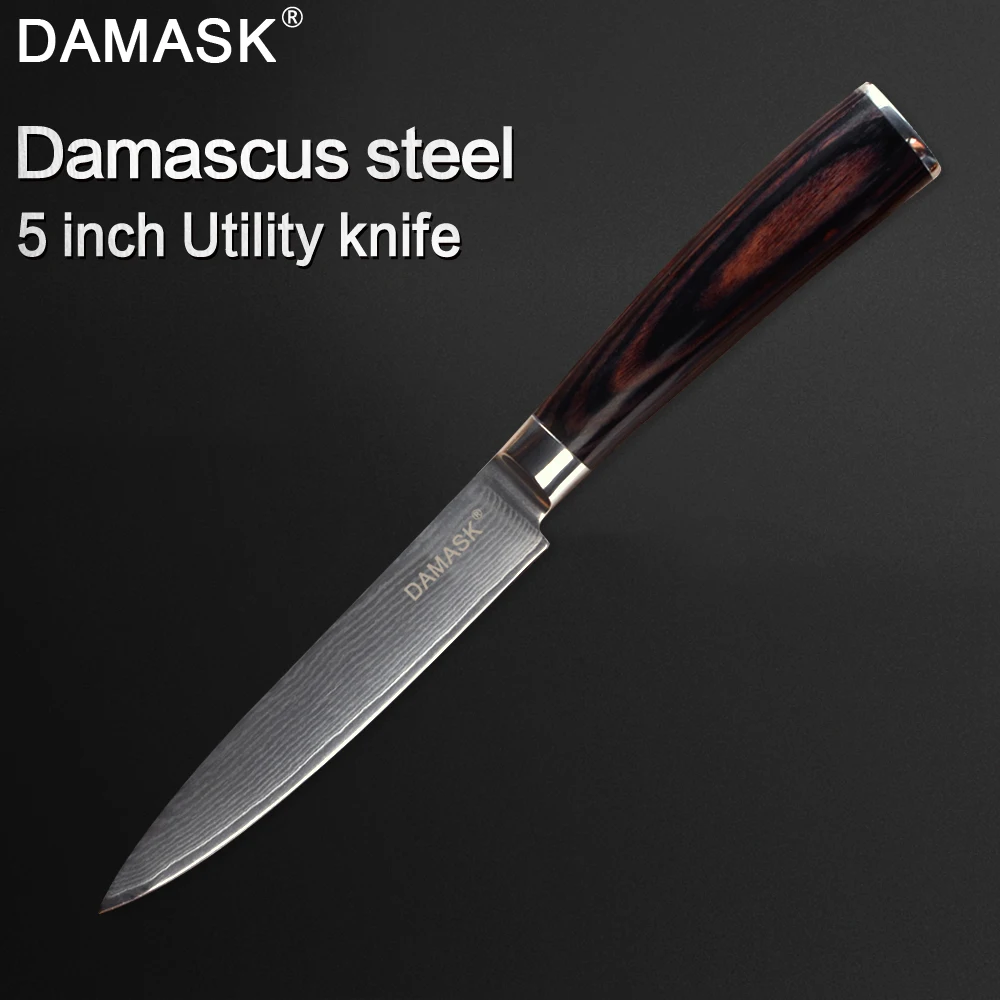 HTB1v3kgaN2rK1RkSnhJq6ykdpXar