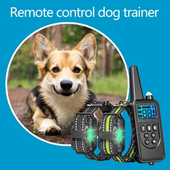 

Rechargeable Waterproof Remote Electric Dog Training Collar With LCD Display For All Sizes Shock Vibration Sound 800m 880-2EU