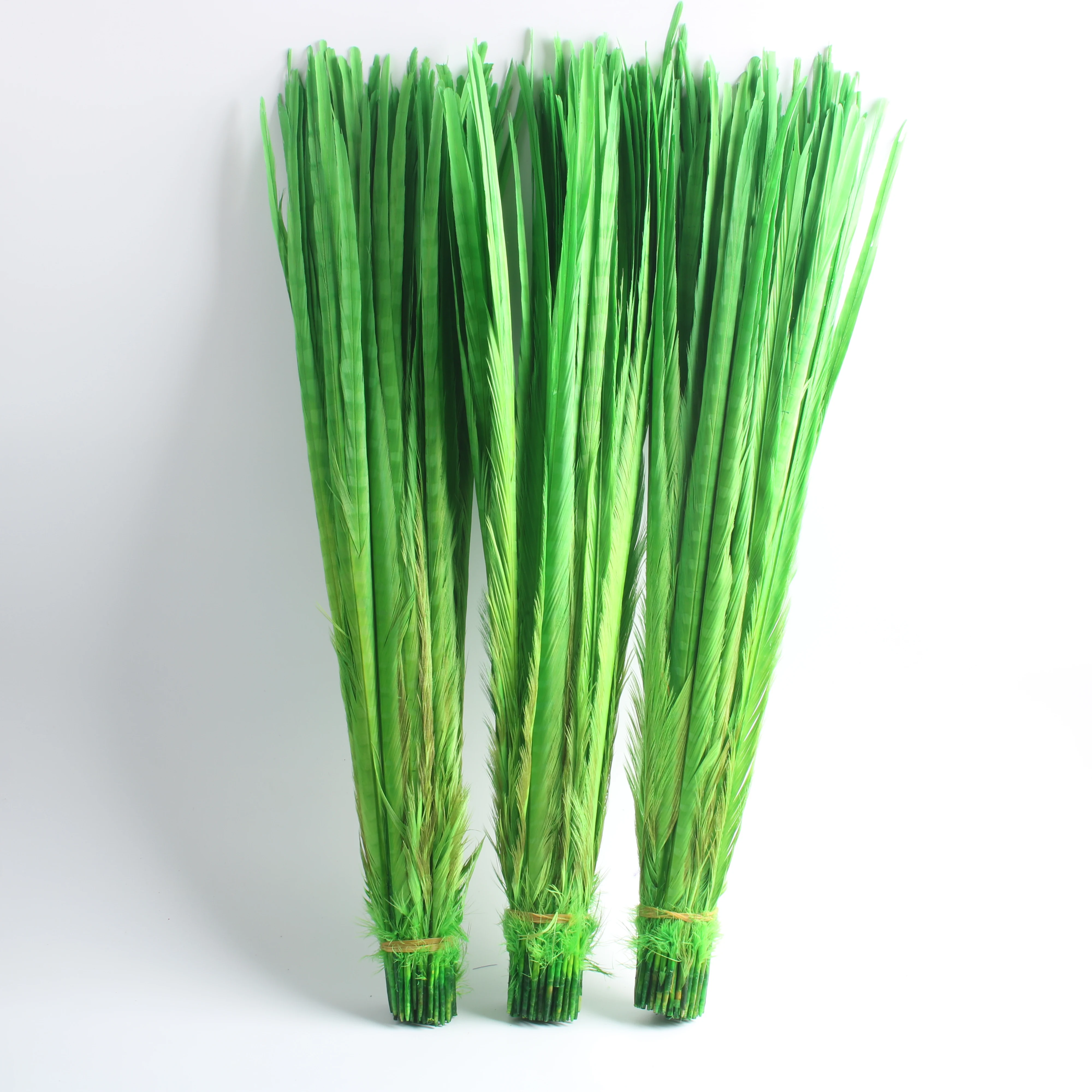 

100pcs / lot High quality Natural Pheasant Feathers 22-24inch 55-60CM Party Show Wedding Feather Diy Decoration Plume