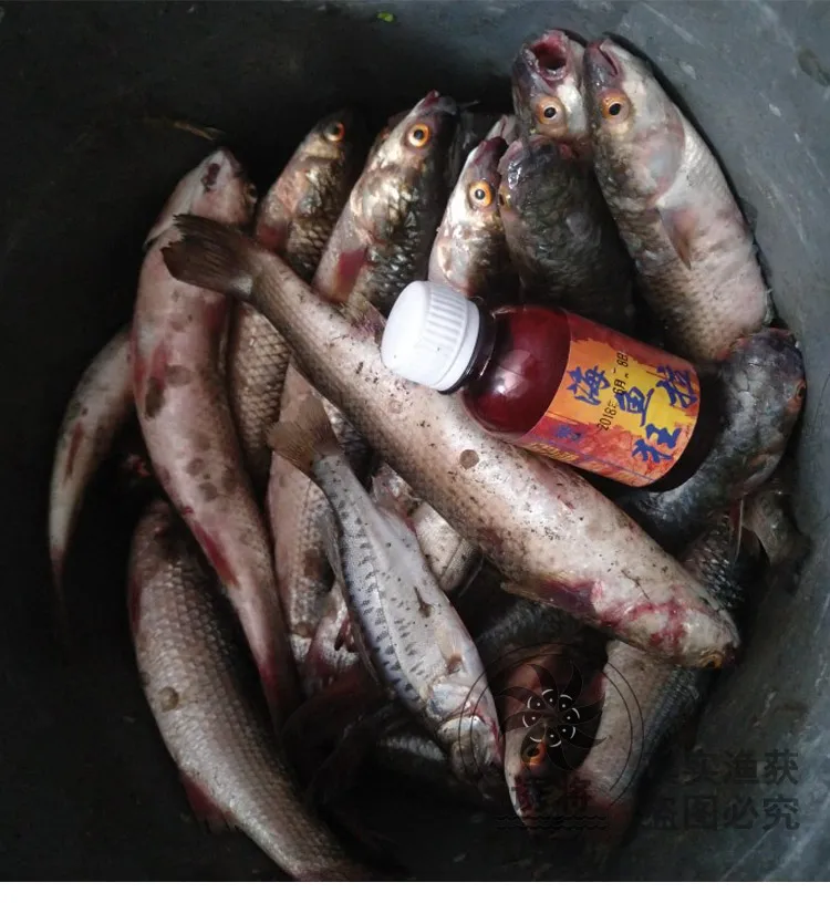 Басовая приманка для ловли анчоусов, фагостимулятор, морская приманка, добавка, черная пористая приманка для сбора рыбы, 51-100 юаней, маленькая