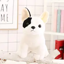 Peluche de bouledogue en peluche, jouet, oreiller, jouet, accessoires Photo, décoration de canapé