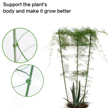 

45cm/60cm Plant Vine Rack Durable Creative Climbing Vine Rack Plant Potted Support Frame Coated Steel Vegetables Trellis Bracket