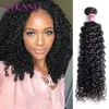 Yvonne 3C 4A Malaysian Curly Virgin Hair Bundles 1/3/4 Bundles Human Hair Weave Natural Color 1