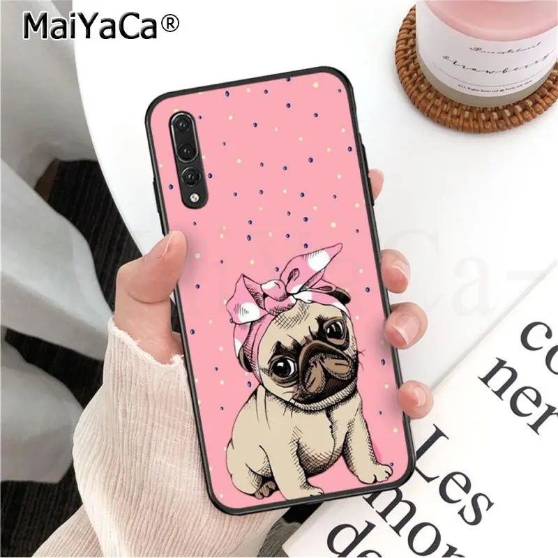 Frenchies Pretty puppy Pug Bulldog