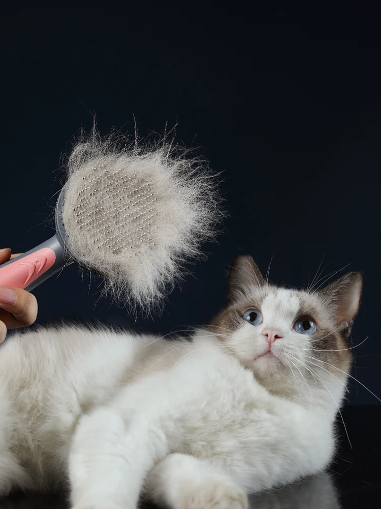 Cat Needle Comb Fur