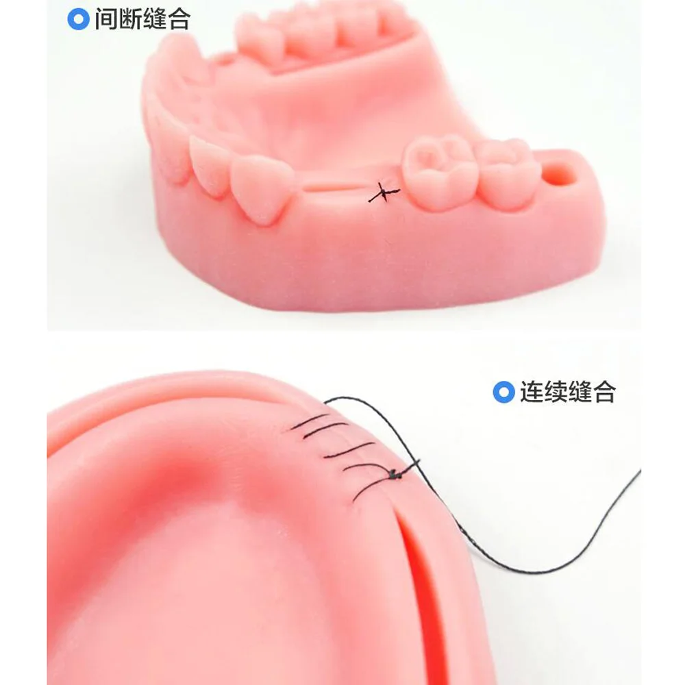 Зубные полости рта жевательной шов тренировочная Модель зуб ортодонтический медицинский силиконовый Пародонтит шва стоматологический инструмент