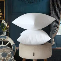30*30/35*55/30*50/60*60 /40*40/45*45/40*60/65*65cm Solid Cushion Core Head Waist Pillow Inner PP Cotton Filler Cushion Filling 3
