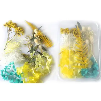 

2020 New 1 Box Real Mix Dried Flowers for Resin Jewellery Dry Plants Pressed Flower