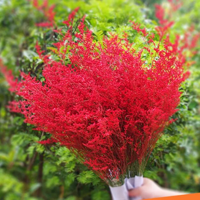 QQ截图20190806164827