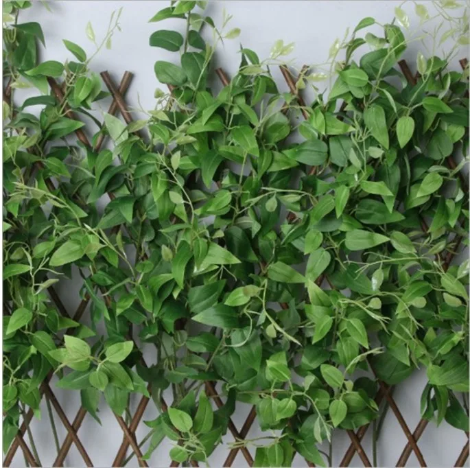 9258588350_846930742