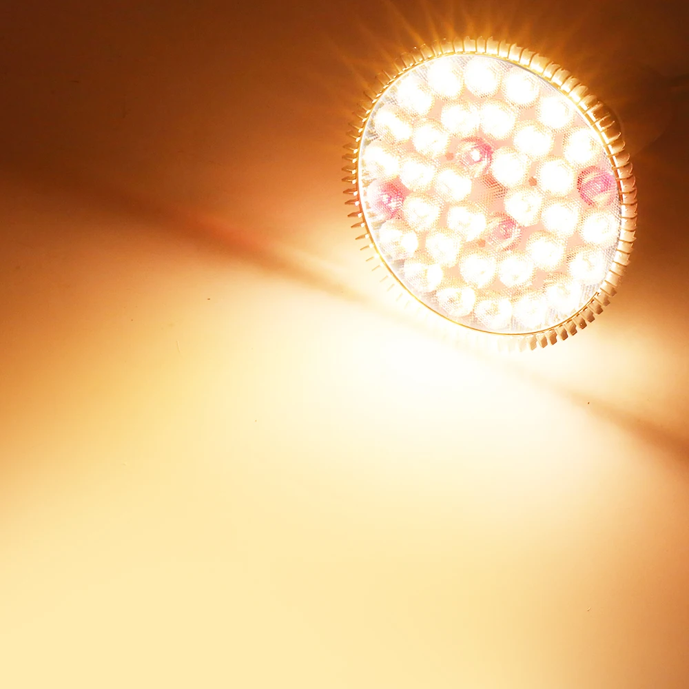 Slide image d09d38a647994da7a650cd0e56951f53