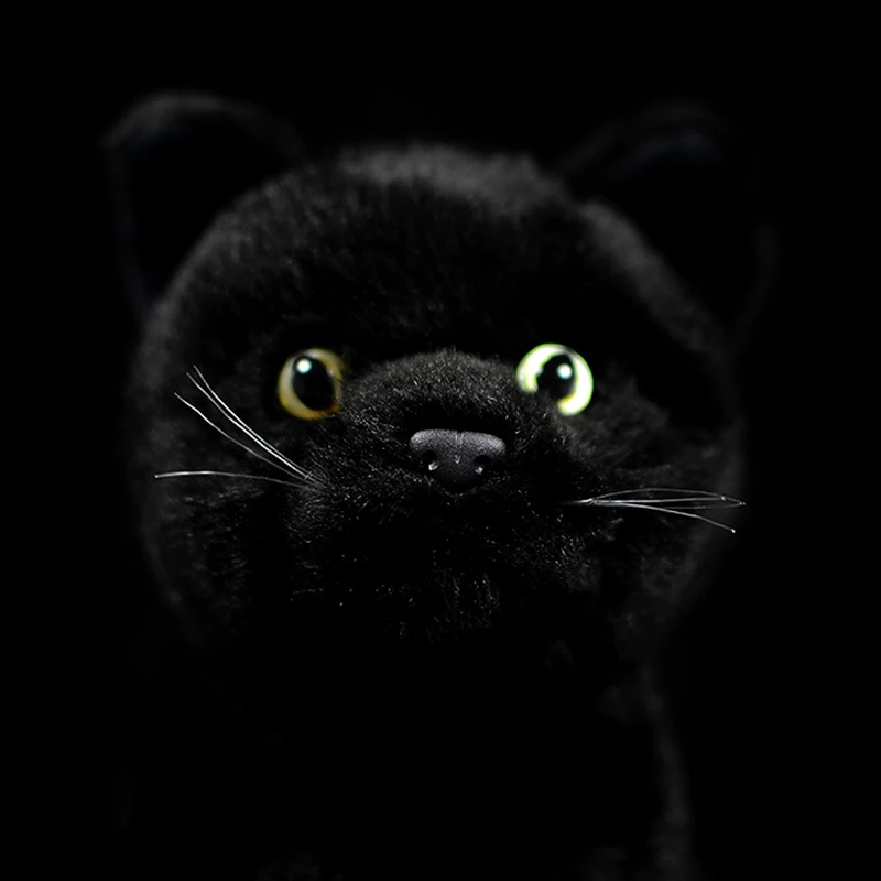 Jouet En Peluche Chat Noir Realiste Pour Enfant Jouet Mignon Modele Felis Catu Poupee De Simulation D Animal Realiste Aliexpress