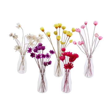 

1 set Mini Vases Flower Container Models Dollhouse Vase Model Accessories Decoration For House Models Miniature Furniture Toys