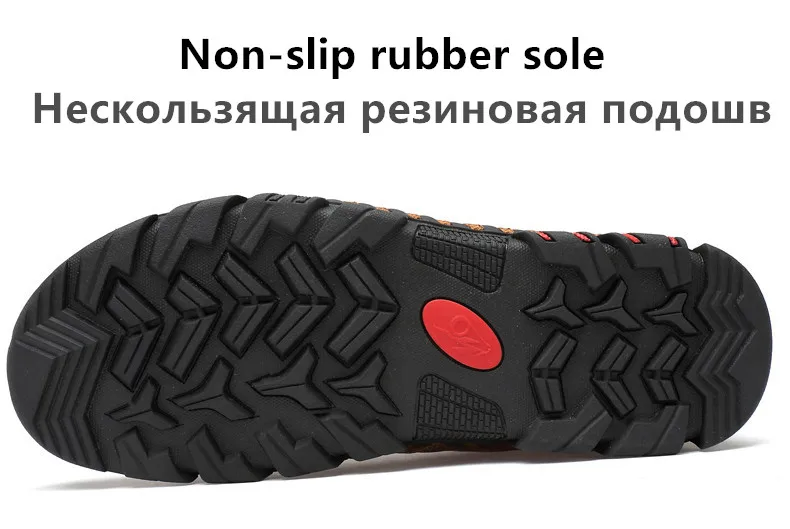 01 (31)