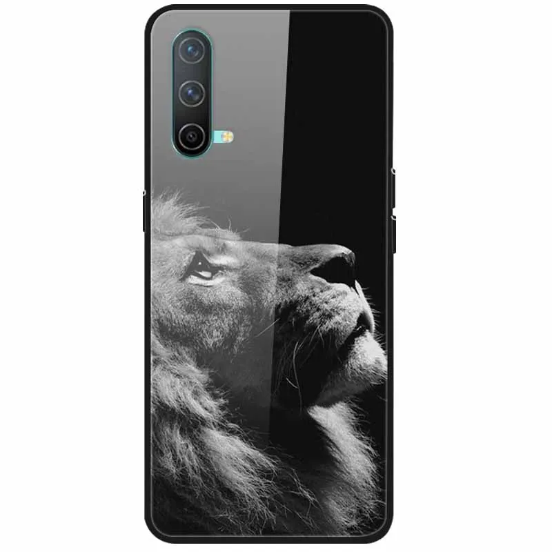 For OnePlus Nord CE 5G Case Tempered Glass Hard Back Cover for One Plus Nord CE 5G Protective Phone Cases Coque Soft Bumper 6.43 samsung flip cover Cases & Covers