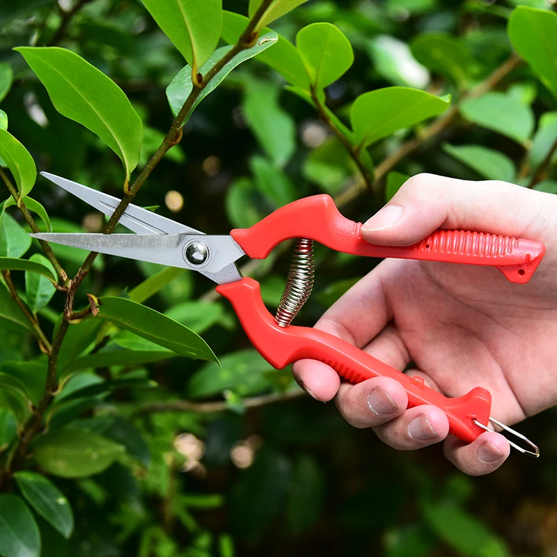 HDL Garden Tools Flowers Bonsai Scissors Stainless Steel Pruning Shears Can Be Used For Fruit Picking In The Orchard