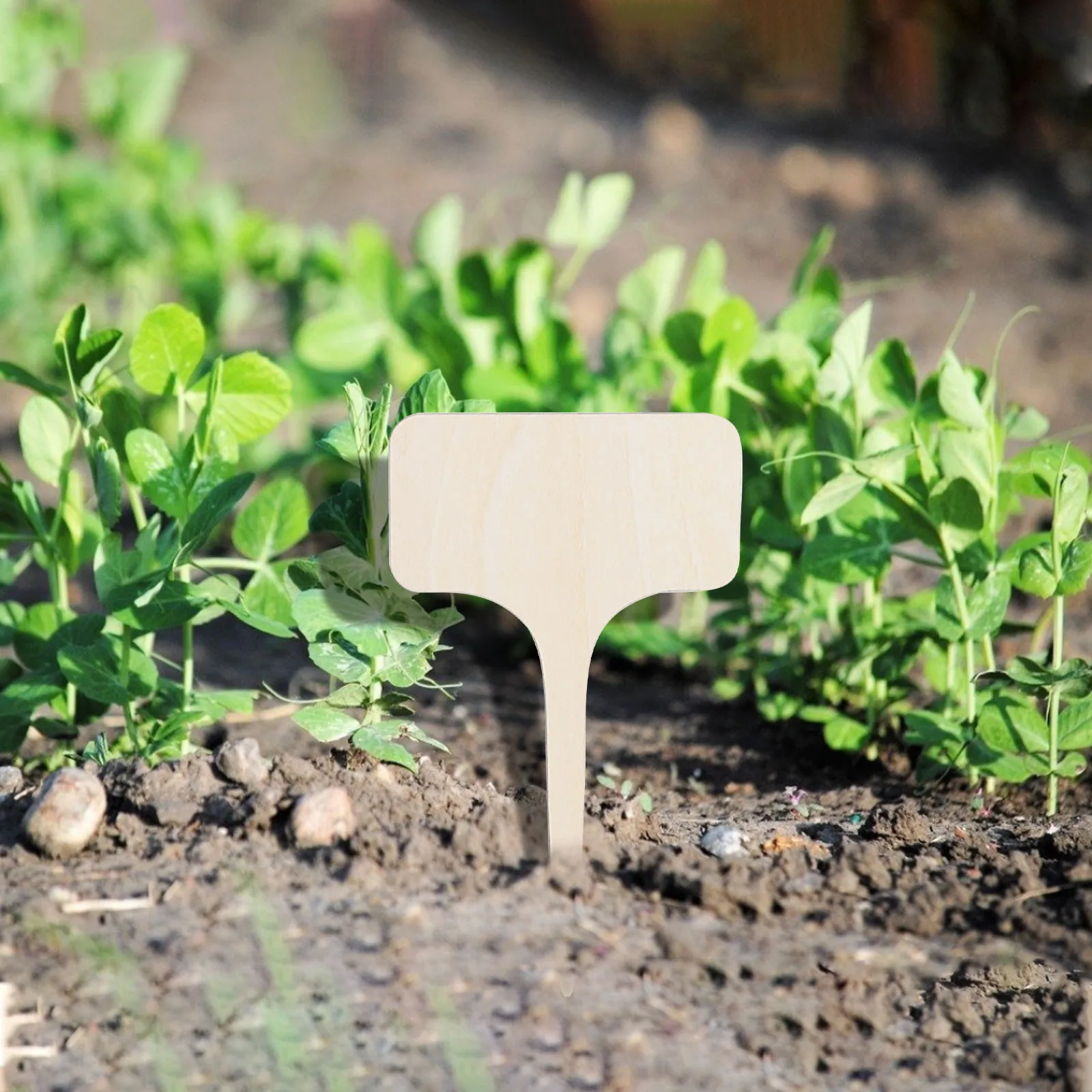 

10PCS Wooden Sign Creative Gardening Plant Label Can Write Insert Ground Garden Plant Succulents Seed Seedlings Bonsai Labels