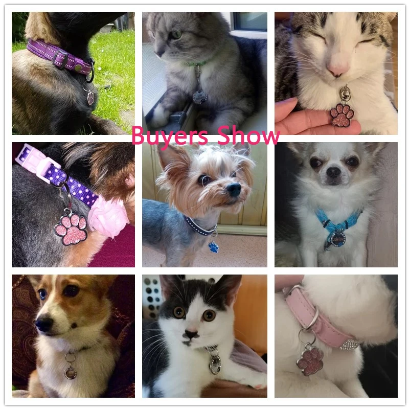 Pet ID Tags Personalized Free Engraving Pet Cat Dog Name Tags Collar Accessories Nameplate Anti-lost Pendant Cute Keyring
