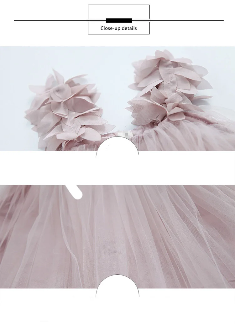 11139741070_2104162502