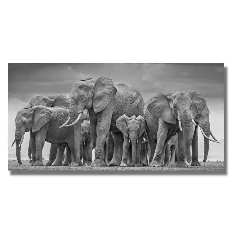Современная картина с рисунком животных печать плакатов Quadros Wall Art Африканский
