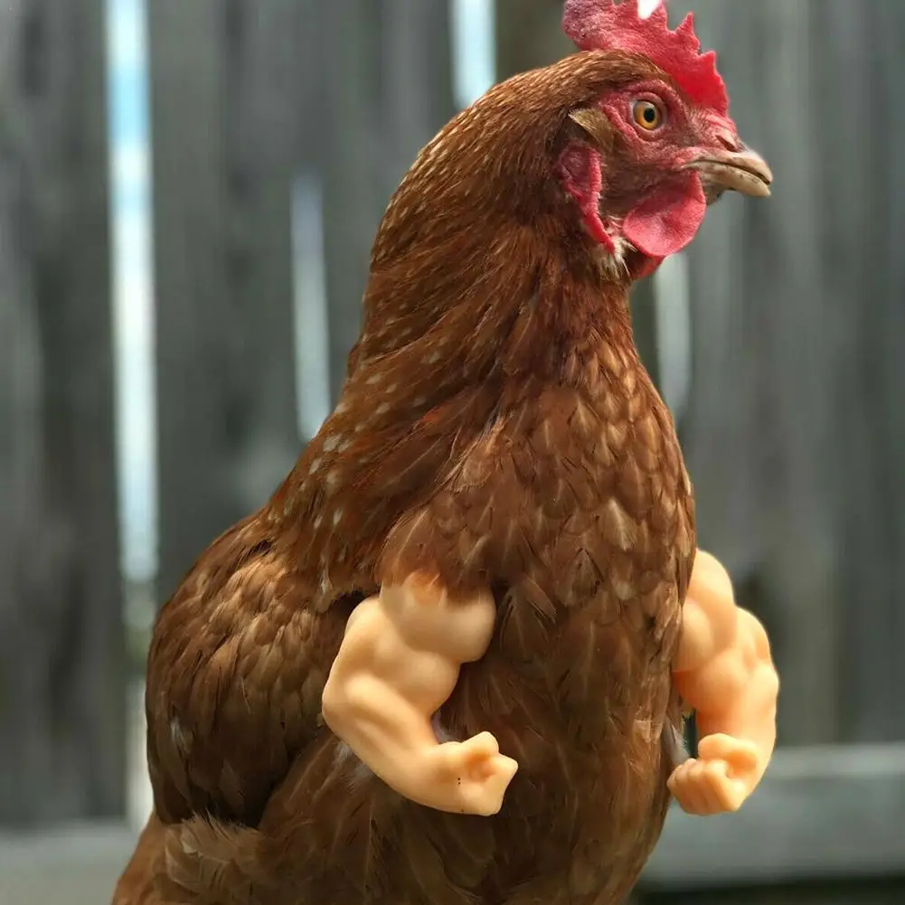 Muscle Chicken Black Chicken Arms Funny Decoration Suitable For Chicken