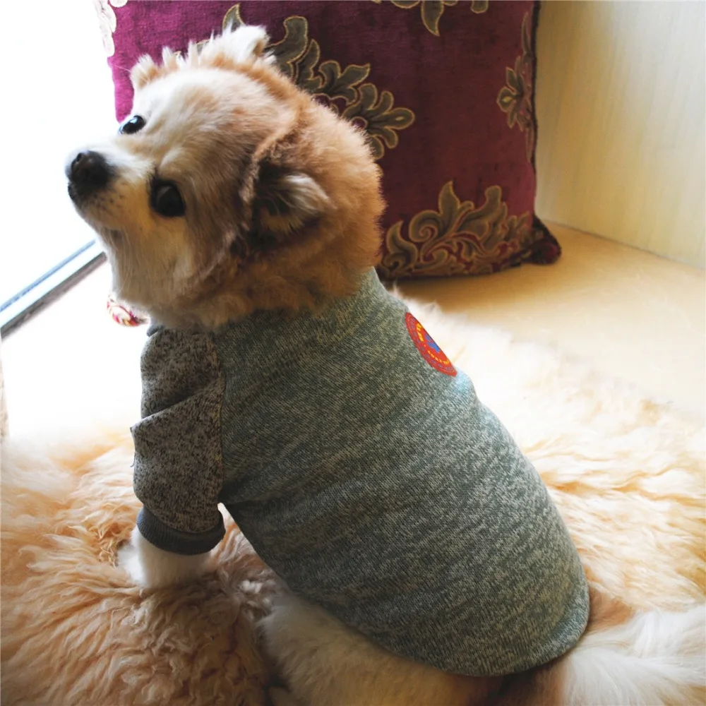 10361094990_361259826