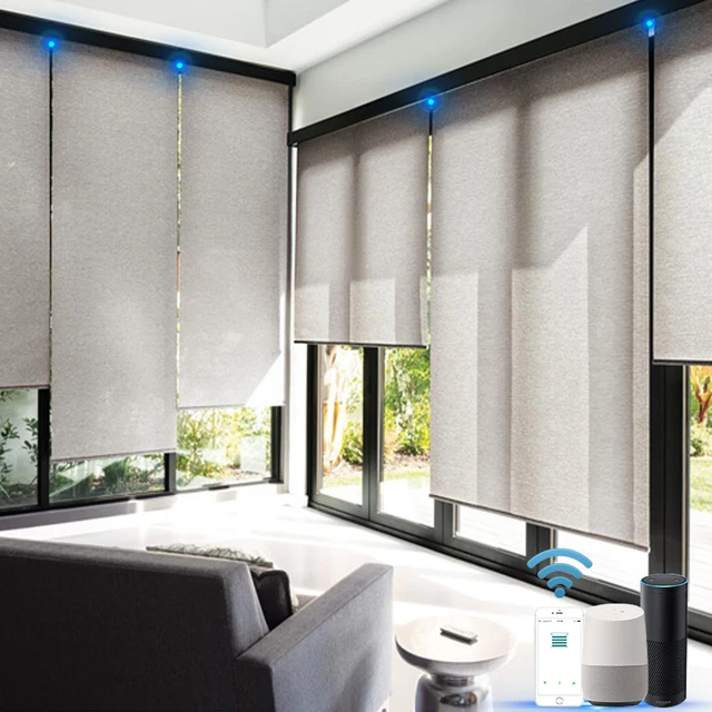 Blindify Testreszabott Méretű Elektromos Henger Redőnyök Az Ablakok Intelligens Wifi Google Alexa Home Voice Control Persana Electrica - Image 4