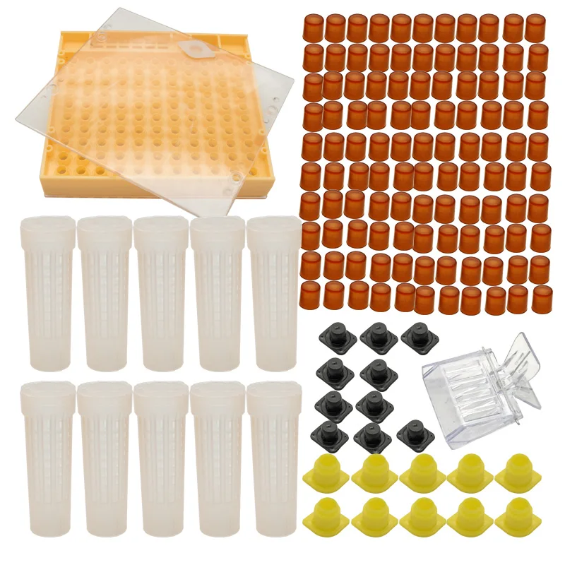 Complete Queen Rearing System Kit King Cultivating Box Plastic Bee Bees Cells Cell Cups Cupkit Cage Beekeeping Tools Supplier