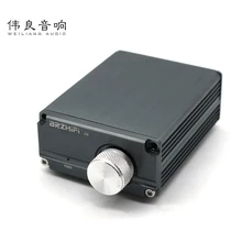Breeze&Weiliang Audio B3 Mini Fubwoofer/Full Frequency 100W Mono TPA3116 Digital Audio Power Home Amplifier DC12-24V