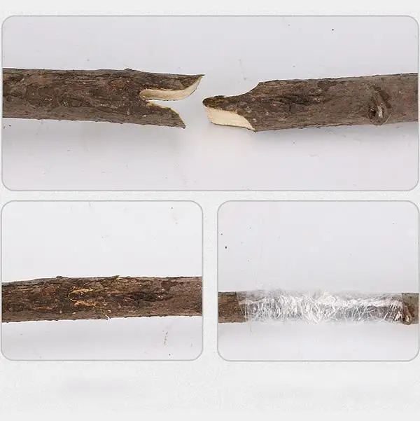 TB2Gq3qvk9WBuNjSspeXXaz5VXa___3321643182