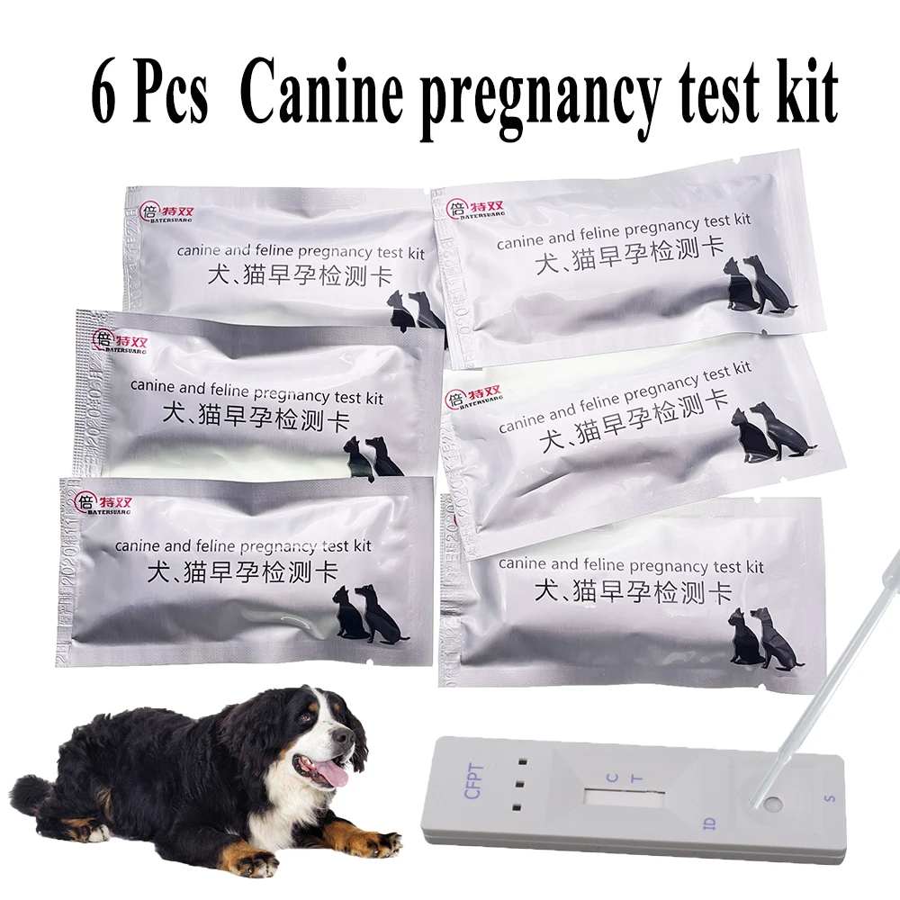 Can A Dog Take A Pregnancy Test