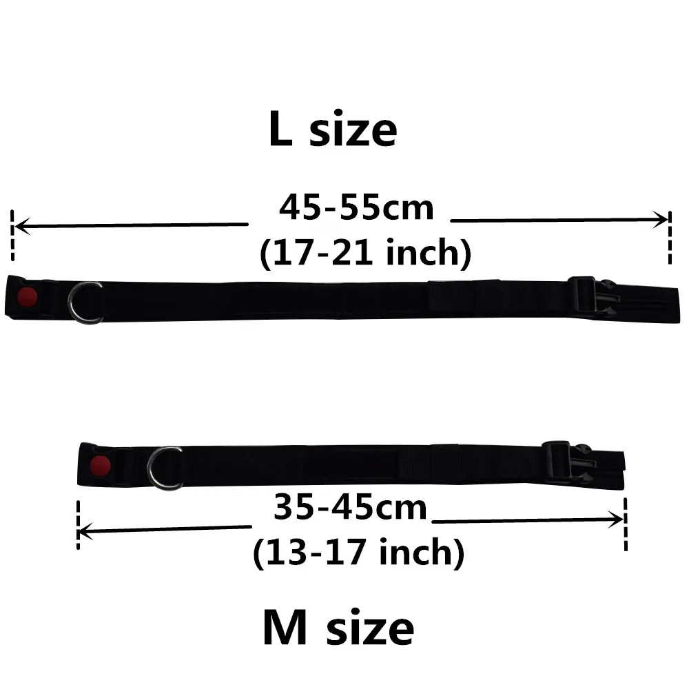 dog collar size