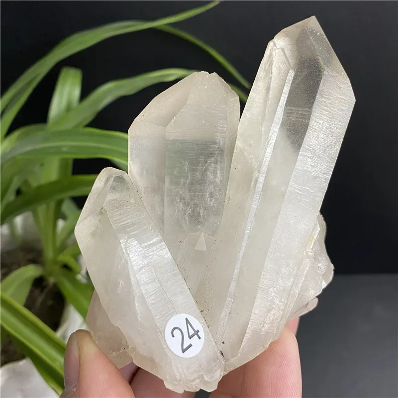

100% Natural Quartz Crystal Cluster Mine Label Collection Energy Stone Crystal Obelisk Healing Home Decoration Gift