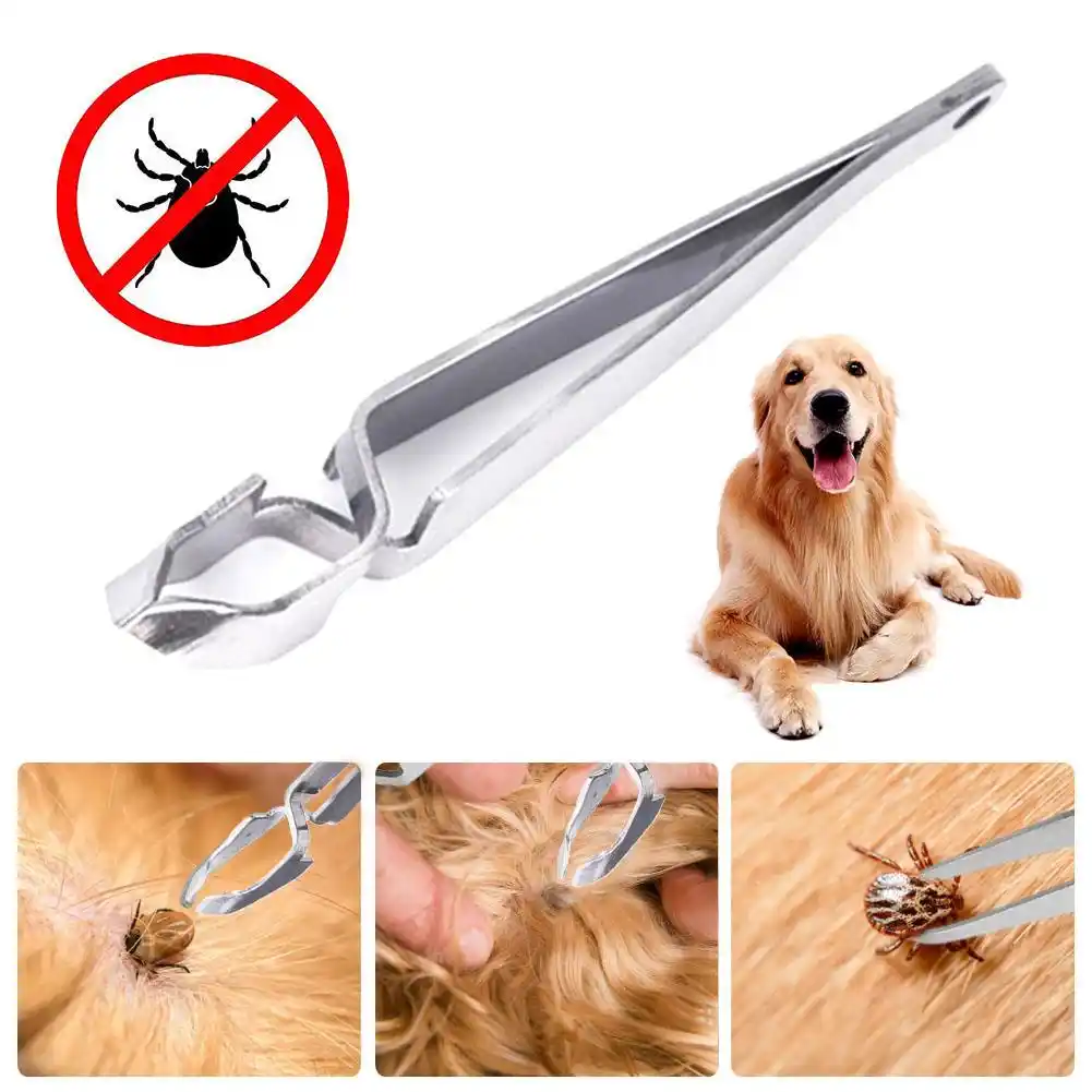 Paslanmaz Celik Kene Louse Pire Cimbiz Klip Pense Kene Cimbiz Pet Kopek Kedi Malzemeleri Kene Cimbiz Kediler Icin Pet Urunler Dog Accessories Aliexpress