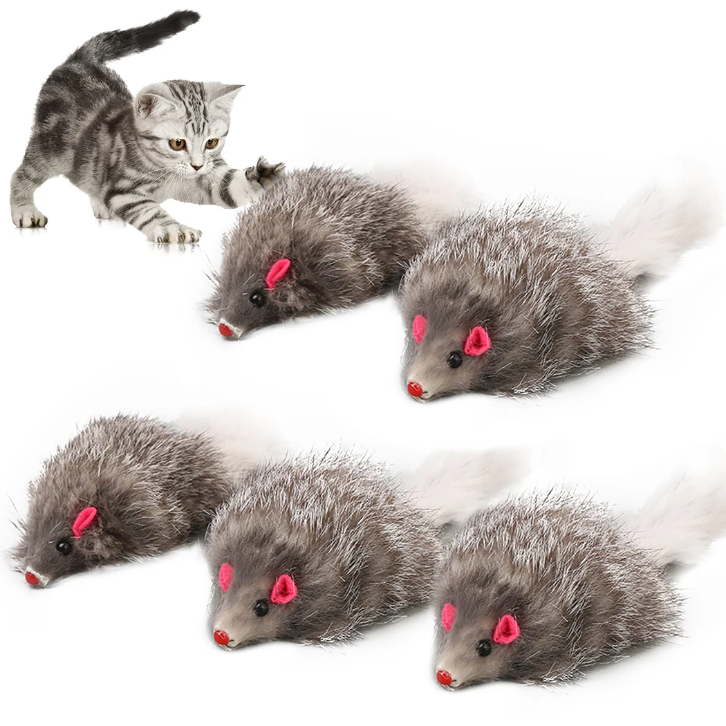 via vandaag Prijs 5Pcs Furry Pluche Kat Speelgoed Zachte Effen Interactieve Muizen Speelgoed  Voor Katten Grappige Kitten Speelgoed Huisdier Katten Training game  Dierbenodigdheden|Kat Speelgoed| - AliExpress