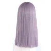 Synthetic High Temperature Fiber Long Straight Wigs for Women Purple Gray Green Wig With Bangs Natural African American Hair ► Photo 2/6