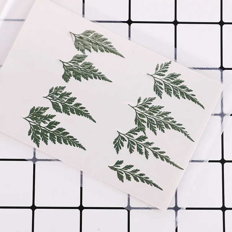 4411420242_448688674