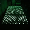 Newest Living Room Luminous Plush Rug Thick Carpet Children Bed Room Fluffy Floor Carpets Bedside Bed Home Decor Rug Sofa Velvet 2