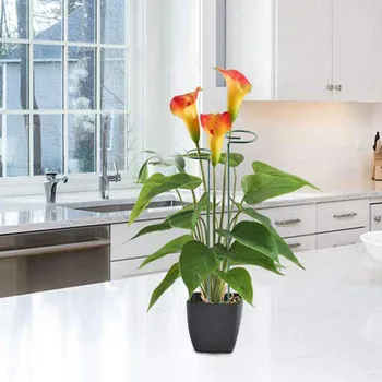 

6Pcs Plant Support Stakes Garden Single Stem Support Stake Plant Cage Support Ring for Flower,Tomatoes,Peony(15.8Inch)