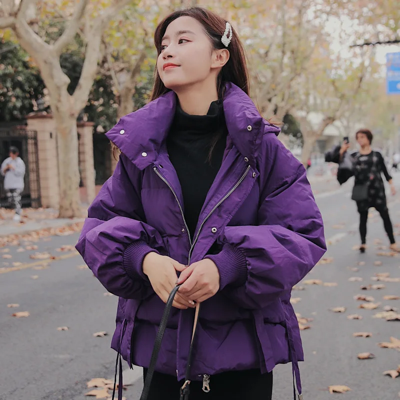 Lantern Sleeve Cotton Coat Women's Autumn And Winter New Style Korean-style Solid Color Hooded down Coat Loose-Fit Students