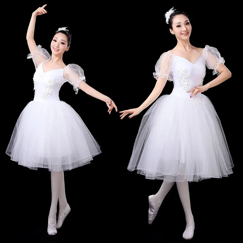 

New style ballet skirt adult performance clothes female Swan Lake pettiskirt ballet one-piece gauze skirt dance practice clothes