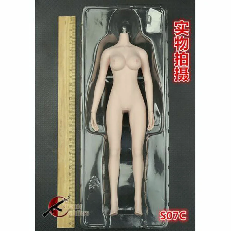 TBLeague S07C 1/6 Женская Phicen бесшовная модель тела большой бюст бледная фигура кукла
