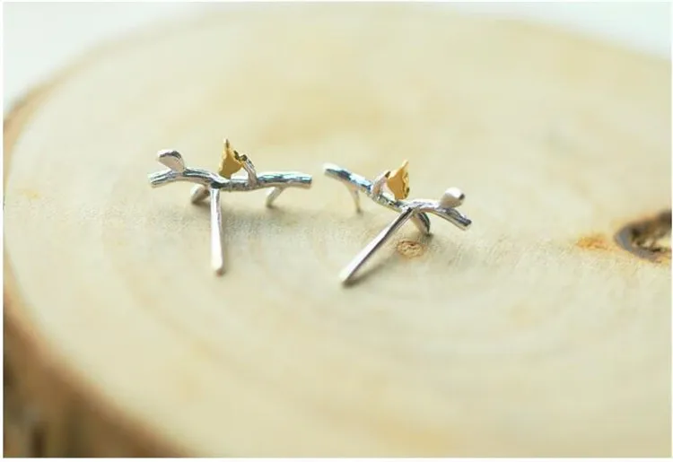 9590764430_1966409281